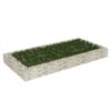 Gabion Raised Bed Galvanised Steel 200x100x20 Cm 2 Gabion Raised Bed Galvanised Steel 200x100x20 Cm -Room Gabion Raised Bed Galvanised Steel 200x100x20 cm 502169 0