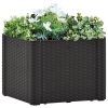 Garden Raised Bed With Self Watering System Anthracite 43x43x33 Cm 2 Garden Raised Bed With Self Watering System Anthracite 43x43x33 Cm -Room Garden Raised Bed with Self Watering System Anthracite 43x43x33 cm 444553 0