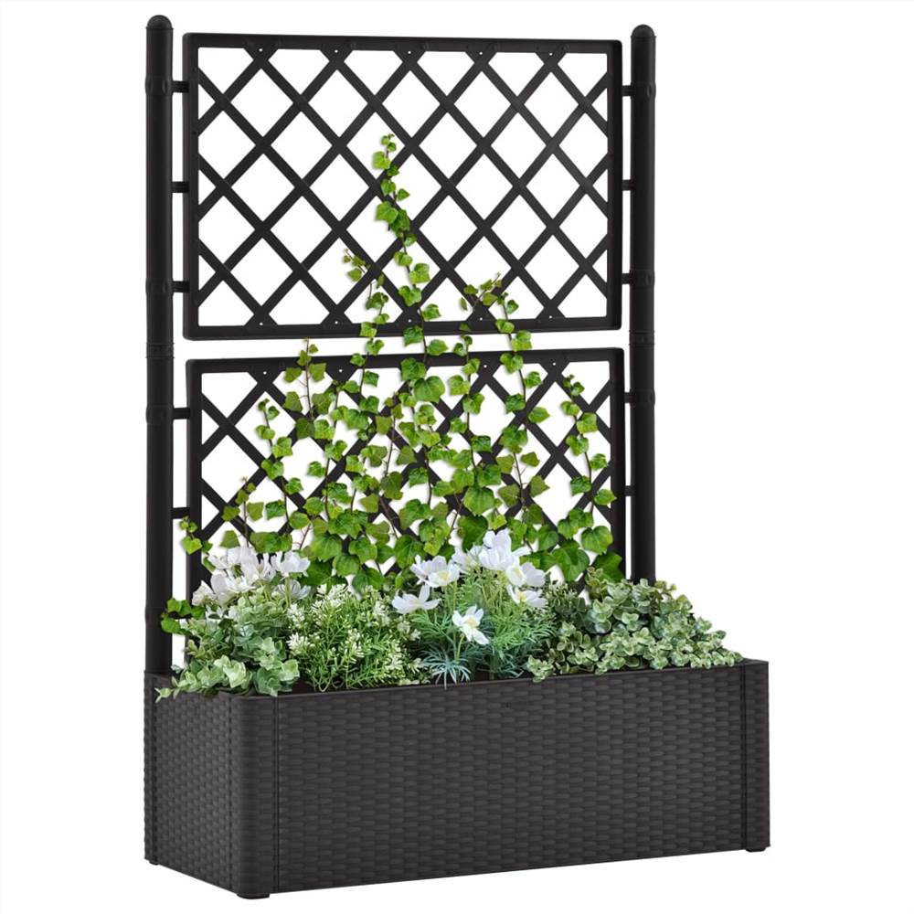 Garden Raised Bed with Trellis and Self Watering System Anthracite Garden Raised Bed With Trellis And Self Watering System Anthracite -Room Garden Raised Bed with Trellis and Self Watering System Anthracite 438210 0