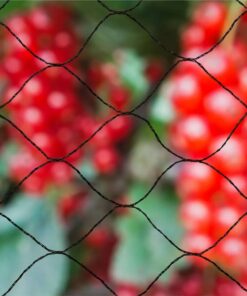 Nature Bird Netting Primo 10x10 M Black 6030407