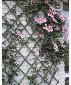 Nature Garden Trellis 100x200 Cm PVC Green 6040704 -Room Nature Garden Trellis 100x200 cm PVC Green 6040704 445573 1