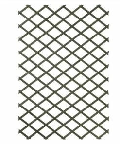 Nature Garden Trellis 100x200 Cm Wood Green 6041704