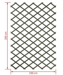 Nature Garden Trellis 100x200 Cm Wood Green 6041704 -Room Nature Garden Trellis 100x200 cm Wood Green 6041704 441752 2