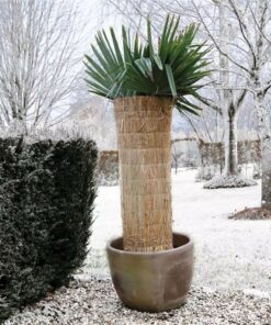 Nature Winter Protection Sheet Rice Straw 1x1.5 M 6030105 4 Nature Winter Protection Sheet Rice Straw 1x1.5 M 6030105 -Room Nature Winter Protection Sheet Rice Straw 1x1 5 m 6030105 440930 2