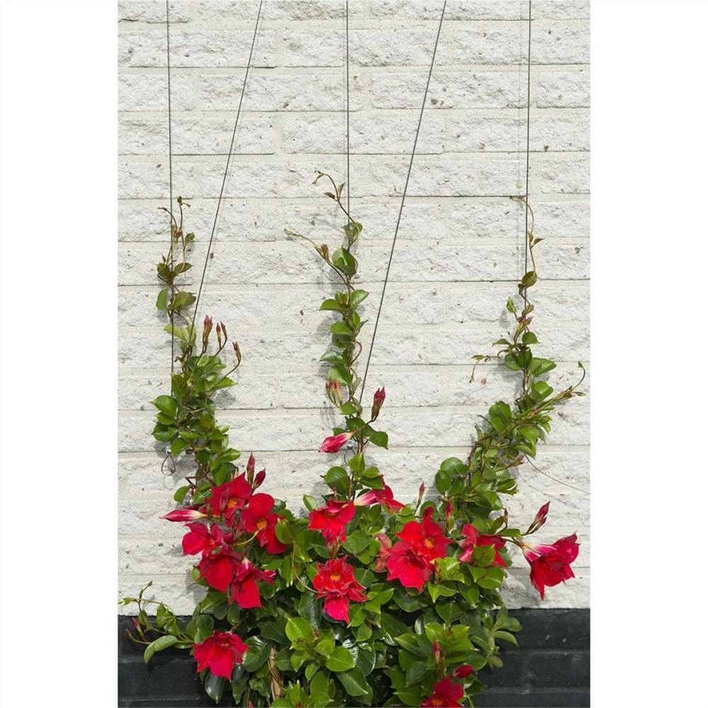 Nature Wire Trellis Set For Climbing Plants 6040760 - Image 2