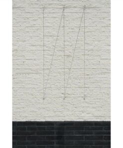 Nature Wire Trellis Set For Climbing Plants 6040760 -Room Nature Wire Trellis Set for Climbing Plants 6040760 438943 4