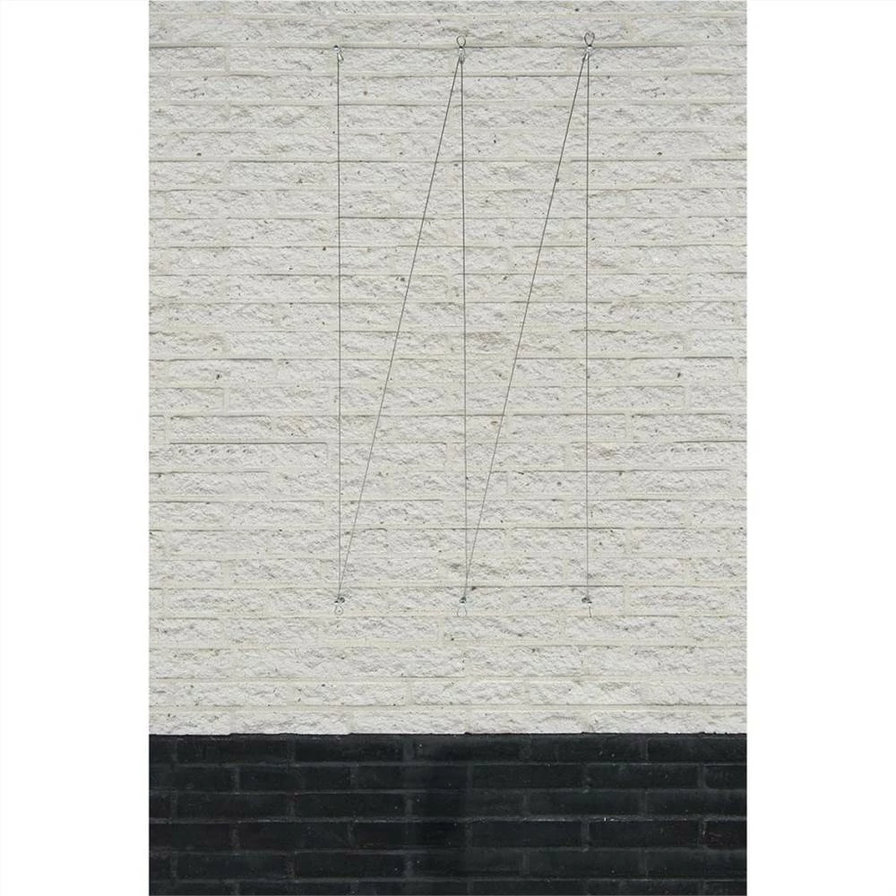 Nature Wire Trellis Set For Climbing Plants 6040760 - Image 5