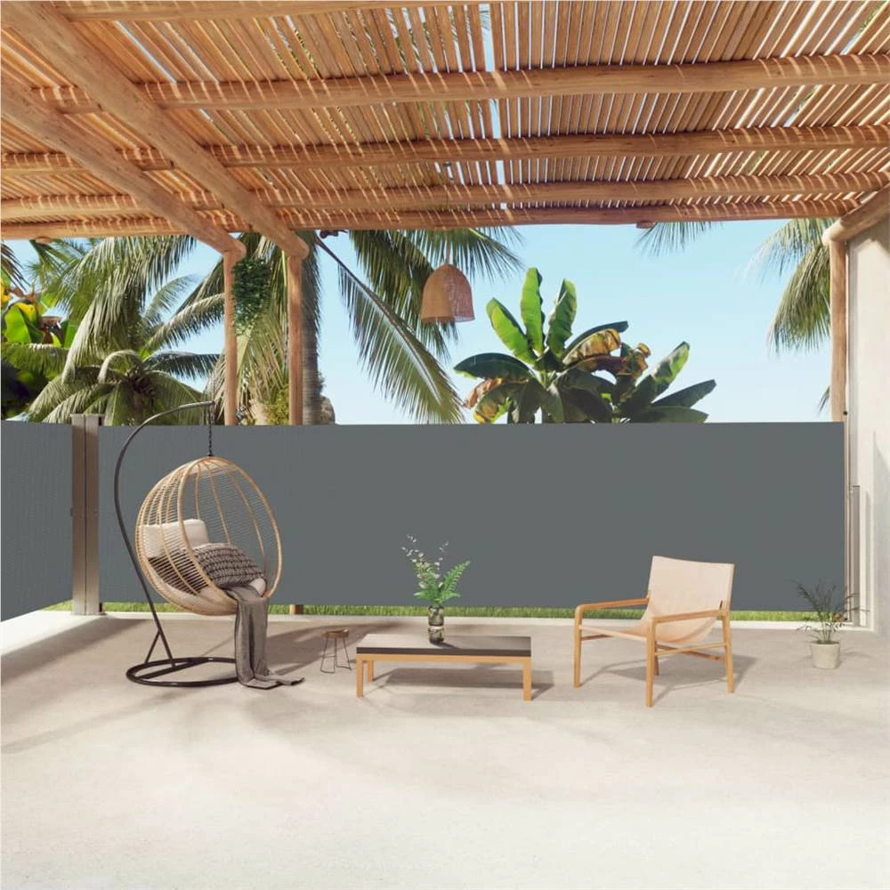 Retractable Side Awning Anthracite 160x1000 Cm