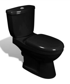 Toilet With Cistern Black -Room Toilet With Cistern Black 455151 2
